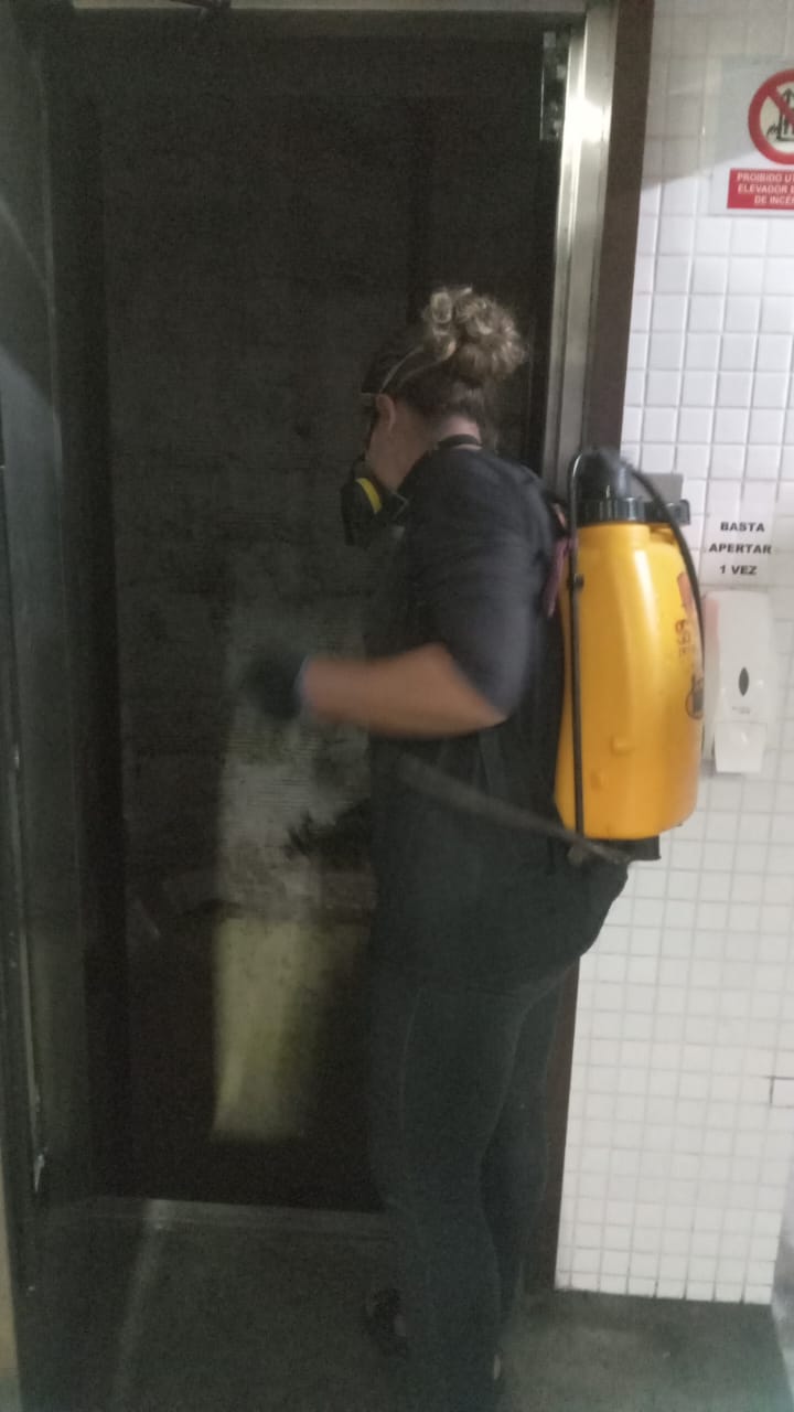 Atendimento profissional de desinsetização realizado pela S&S